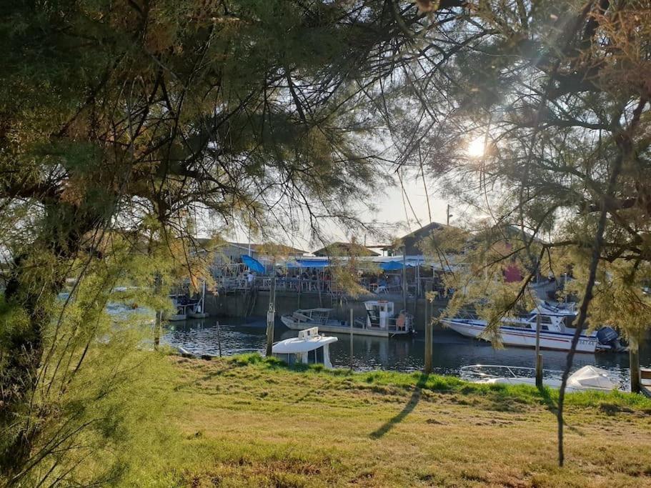 La Maisonnette De Suzette Lanton Εξωτερικό φωτογραφία